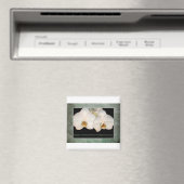 管理プロフェッショナル日白い蘭 マグネット (インサイチュ (食洗機))