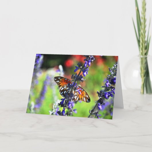 管理プロフェッショナル日 シーズンカード (正面)