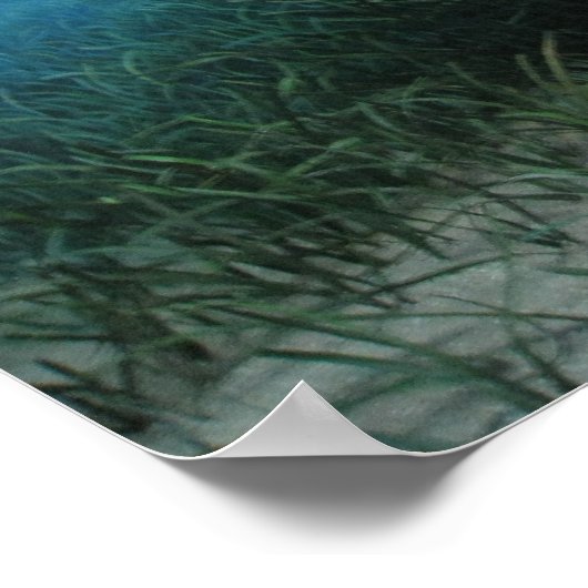 管理ポスター ポスター (角)