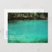 管理春はがき ポストカード (正面/裏面)