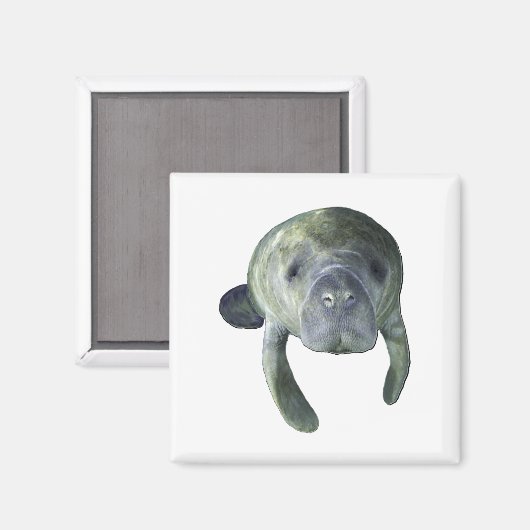 管理春 マグネット (正面/裏面)