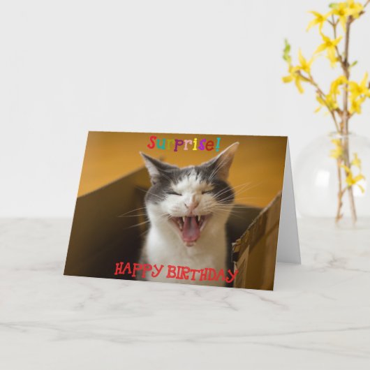 箱おもしろいに入れたかわいい猫の誕生日 カード (黄色い花)