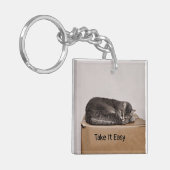 箱で眠っている灰色の虎猫猫 キーホルダー (正面左)