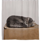 箱で眠っている灰色の虎猫猫 シャワーカーテン (正面)