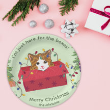 箱に入ったかわいい猫が箱目当てでやってきた クリスマス