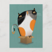 箱に入れたカリコ猫 ポストカード (正面)