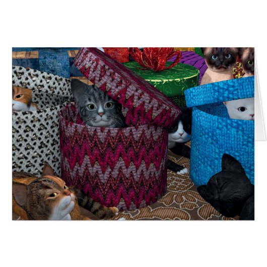 箱に入れた子猫 (正面横)