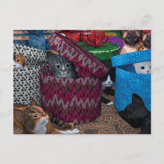 箱に入れた猫 ポストカード (正面)