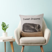 箱に寝るタビー·キャット·グレイ クッション (椅子)