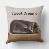 箱に寝るタビー·キャット·グレイ クッション (裏面)