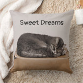 箱に寝るタビー·キャット·グレイ クッション (ブランケット)