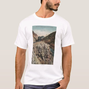 箱のキャノンの列車の眺め Tシャツ