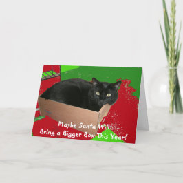 箱のクリスマスカードの猫 シーズンカード