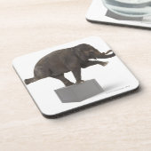 箱のトリックを行っている象 コースター (左側)