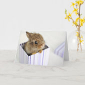 箱のパン! カード (黄色い花)