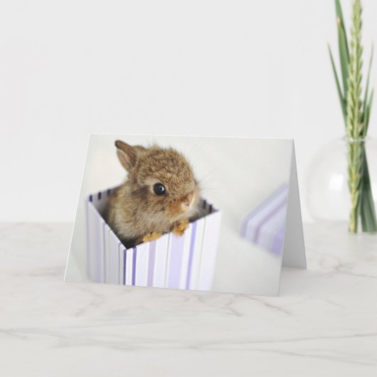 箱のパン! カード (正面)