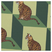 箱のベンガル ファブリック (クローズアップ)