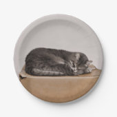 箱の上で眠る灰色のタビー猫 ペーパープレート (正面)