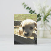 箱の中で軽く ポストカード (スタンド正面)