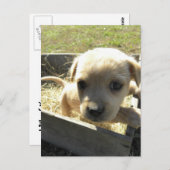 箱の中で軽く ポストカード (正面/裏面)