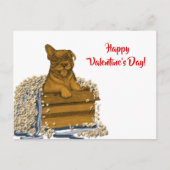 箱の中の子犬ハッピーバレンタインデー! ポストカード (正面)