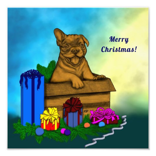 箱の中の子犬，メリークリスマス フォトプリント            (正面)