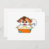 箱の中の狐 ポストカード (正面/裏面)