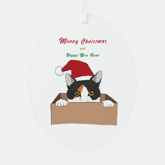 箱の中の猫のクリスマス メタルオーナメント (正面)