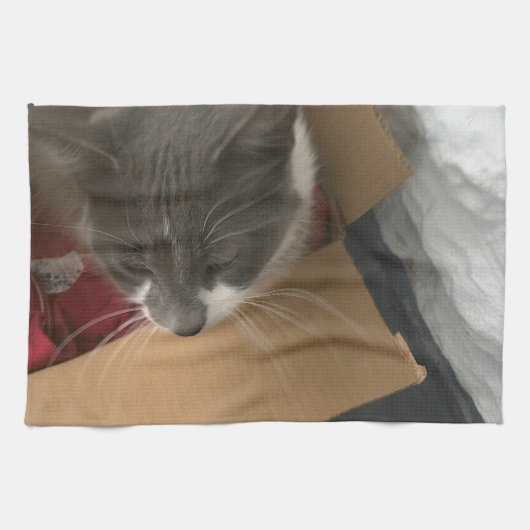 箱の中の猫 キッチンタオル (横)