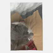 箱の中の猫 キッチンタオル (縦)