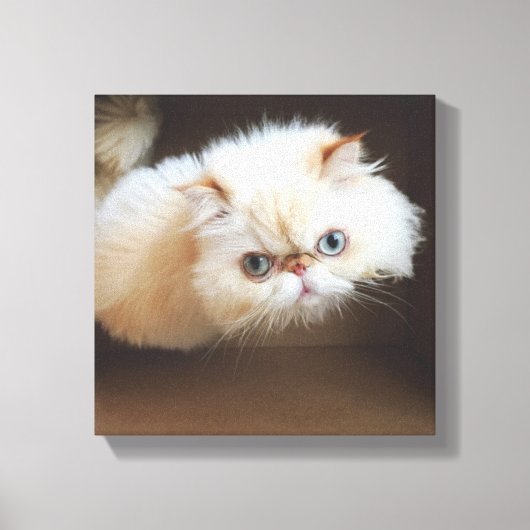 箱の中の猫 キャンバスプリント (正面)