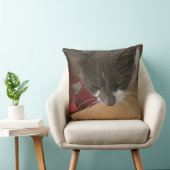 箱の中の猫 クッション (椅子)