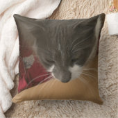 箱の中の猫 クッション (ブランケット)