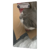 箱の中の猫 クリップボード (左)