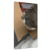 箱の中の猫 クリップボード (右)
