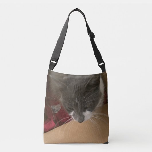 箱の中の猫 クロスボディバッグ (正面)