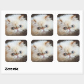 箱の中の猫 スクエアシール (シート)