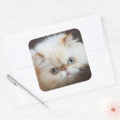 箱の中の猫 スクエアシール (封筒)