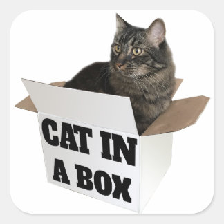 箱の中の猫！ スクエアシール