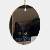 箱の中の猫 セラミックオーナメント (右)