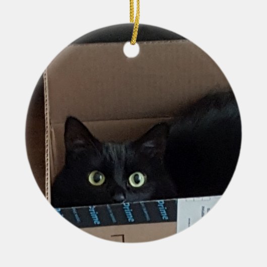 箱の中の猫 セラミックオーナメント (正面)