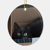 箱の中の猫 セラミックオーナメント (左)