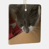 箱の中の猫 セラミックオーナメント (右)