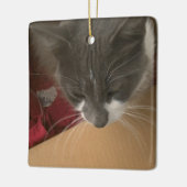 箱の中の猫 セラミックオーナメント (左)