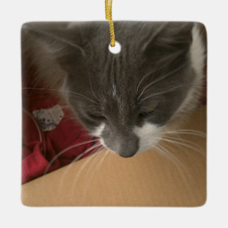 箱の中の猫 セラミックオーナメント