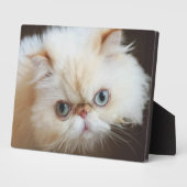 箱の中の猫 フォトプラーク (側面)