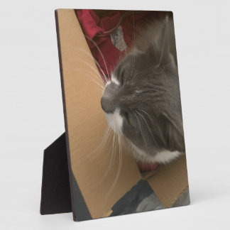 箱の中の猫 フォトプラーク
