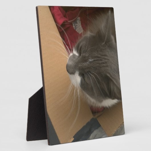 箱の中の猫 フォトプラーク (側面)