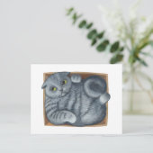 箱の中の猫 ポストカード (スタンド正面)