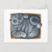 箱の中の猫 ポストカード (正面)